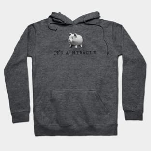 Miracle Hoodie